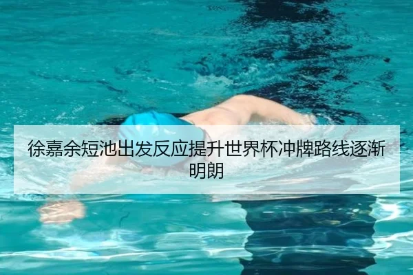徐嘉余短池出发反应提升世界杯冲牌路线逐渐明朗 | HTHSPORTS